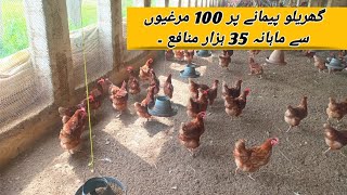 100 Lohman Brown Hens Complete Profit Report  Small Scale Hen Farming Business Idea  Layer Chicken [upl. by Hendren]