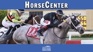 Pegasus Preview Day top picks on HorseCenter [upl. by France690]