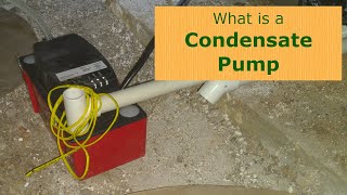 What is a Condensate Pump [upl. by Cryan489]