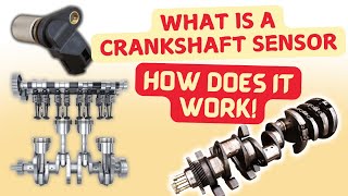 Crankshaft Position Sensor Learn Diagram  Location Working Functions and Types [upl. by Yelha]