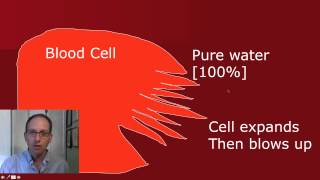 cellprocesses [upl. by Ihpen]