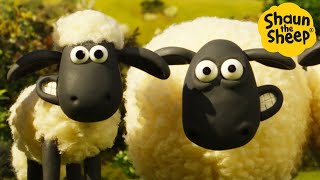 Shaun the Sheep 🐑 The Mysterious Sheep 🤔😲 Full Episodes Compilation 1 hour [upl. by Mutua]