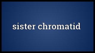 Sister chromatid Meaning [upl. by Eceinwahs845]