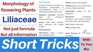 Liliaceae family  Short tricks with yo yoo bio  Morphology of flowering plants  NEET  NCERT [upl. by Kinsler306]