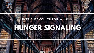 Hunger Signaling Intro Psych Tutorial 161 [upl. by Nelloc]