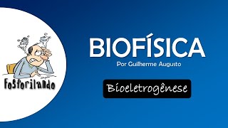 BIOELETROGÊNESE Introdução e Canais  BIOFÍSICA [upl. by Arremat574]