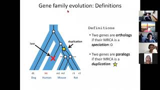 60476878 Lecture 20  Phylogenomics Fall 2020 [upl. by Melnick]