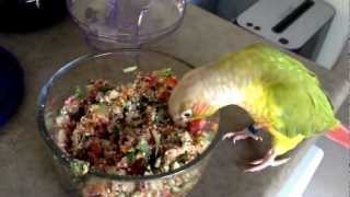 How To Make Fresh Birdy Mash [upl. by Lahey]