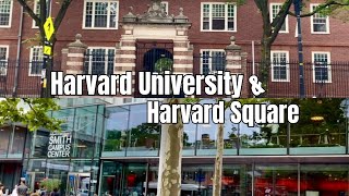 Outdoors Harvard University and Harvard Square 20240622 [upl. by Yllatan932]