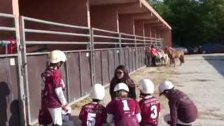 Lamotte Beuvron 2015  HorseBall Poussins 4  Les écuries du Vallon [upl. by Lucila]