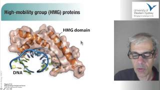 04 The Transcriptional Regulation of Gene Expression in Eukaryotes [upl. by Maharg]