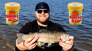 Best RIG amp BAIT For RAINBOW TROUT CATCH CLEAN COOK Irvine Lake [upl. by Fair1]