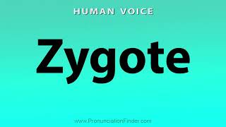 How To Pronounce Zygote [upl. by Idnahk157]