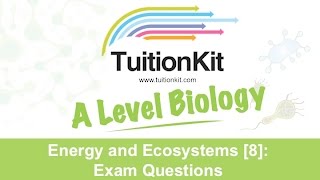 Energy an Ecosystems 8 Exam Questions High band Biology [upl. by Elburt47]