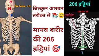 मानव शरीर की 206 हड्डियां कौन कौन सी होती है  Total Human Body Bones 206  HAP Biology Hindi [upl. by Haek]