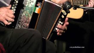 Melbourne Ceilidh Band  Irish Dance Jigs [upl. by Kemppe]