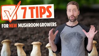 Top 7 Tips For Aspiring Mushroom Growers If Youve Never Grown Before [upl. by Buddie]