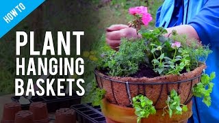 A Guide To Hanging Basket Plants amp Flowers [upl. by Dam]