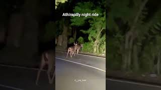 Athirappilly night ride athirappilly nightride [upl. by Calva218]