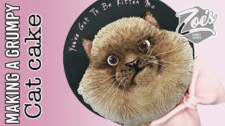 Grumpy Cat Cake Tutorial [upl. by Hailahk345]