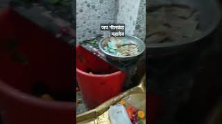 नीलकंठ महादेव शिवरात्रि shortvideo youtubeshorts kawadyatraharidwar2024 kawadyatra viralvideo [upl. by Dettmer]