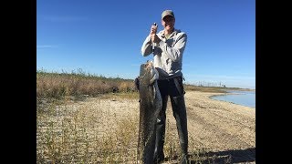 Catching BIG wels catfish in Chernobyl with a HUGE tumor [upl. by Babbette]