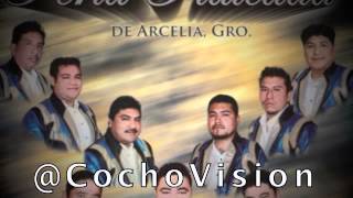 El Corrido del Pelo Chino Banda La Perla Plateada de Arcelia Guerrero 2014 Fello Hurtado [upl. by Kcirded]