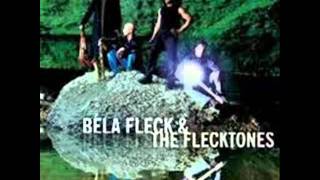 08  Couch Potato  Béla Fleck And The Flecktones [upl. by Weidner]