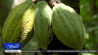 Nigeria aims to ramp up cocoa production amid global shortages [upl. by Nicolina947]