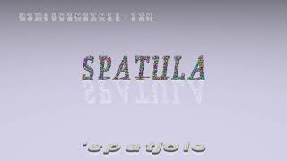 spatula  pronunciation  Examples in sentences and phrases [upl. by Odeen793]