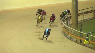 Rockhampton11092024Race1 [upl. by Gintz]