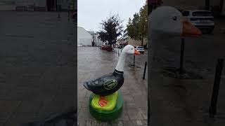 the DUCK 🦆 of Gänserndorf austria rain [upl. by Steffy]