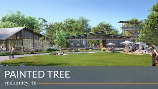 Painted Tree  Lifestyle Video [upl. by Tacye63]