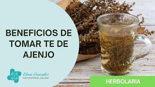 🌿 Descubre los Beneficios del Té de Ajenjo  Salud Natural con Elena González [upl. by Brick384]