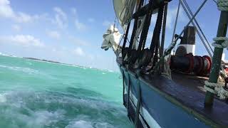 Schooner Appledore II Key West [upl. by Erica]