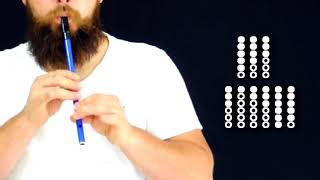 Vulgaris Magistralis  Tin Whistle Tutorial [upl. by Anaeel]