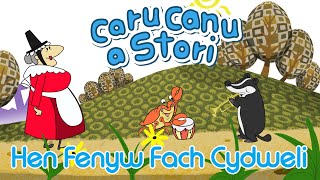 Caru Canu a Stori  Hen Fenyw Fach Cydweli Welsh Childrens Song [upl. by Neeluj188]