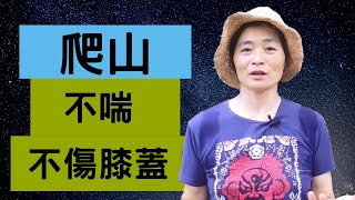 爬山不喘不傷膝蓋——輕鬆爬山技巧 [upl. by Kiona]