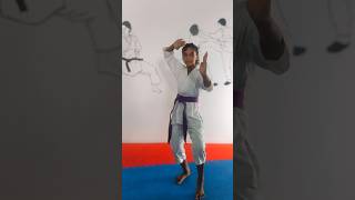 Double Test എടുത്തു Karate Purple Belt നുവേണ്ടി 💜Eva My Power Girl🥋👊karate martialarts [upl. by Mieka]