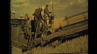 HorseDrawn Combine 1938 [upl. by Llyrad]