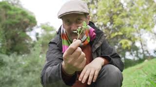 Foraging Liverpool [upl. by Waiter27]