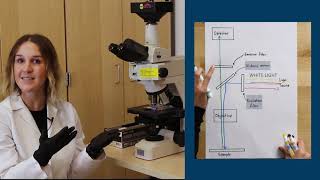 Fluorescence Microscopy [upl. by Hait]