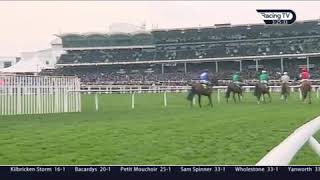 Paisley Park Stayers Hurdle Cheltenham 2019 [upl. by Karina2]