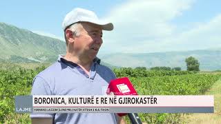 BORONICA FRUTI QÃ‹ PO KULTIVOHET NÃ‹ TOKAT E GJIROKASTRÃ‹S [upl. by Obbard904]