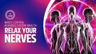 Healing Frequencies for Your Nervous System Boost Central Nervous System Health  Relax Your Nerves [upl. by Herring94]