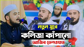 নতুন সুরে সবাইকে পাগল করলেন  Hafez Nazmus sakib best quran tilawat in the world [upl. by Adne722]