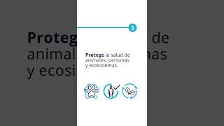 La Importancia de la Vacunación en el Bienestar Animal  Biogénesis Bagó Argentina [upl. by Belanger513]