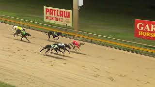 Rockhampton14082024Race8 [upl. by Annaert]