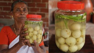 Salted Gooseberry Recipe  Nellikka Uppilittathu  Amla Pickle Recipe [upl. by Aleydis]