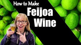 How to Make Feijoa Wine  Feijoa Wine Recipe [upl. by Eimaraj]